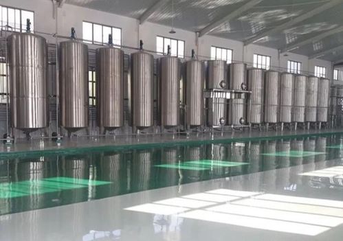 時代鼎豐 以智能釀造裝備與酒店管理雙輪驅動，邁向世界級制造新標桿